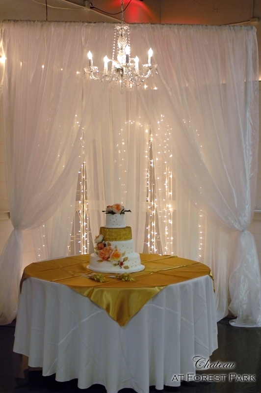 Curved Canopy, Layered Sheer Curtain & Twinkle Light Background